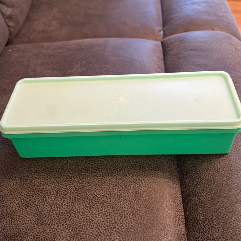 Vintage Tupperware Celery/Veggie Keeper Crisper